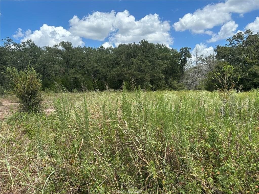 2.92 acres in Brazos County - photo 4
