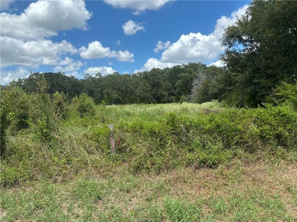 2.92 acres in Brazos County - photo 3