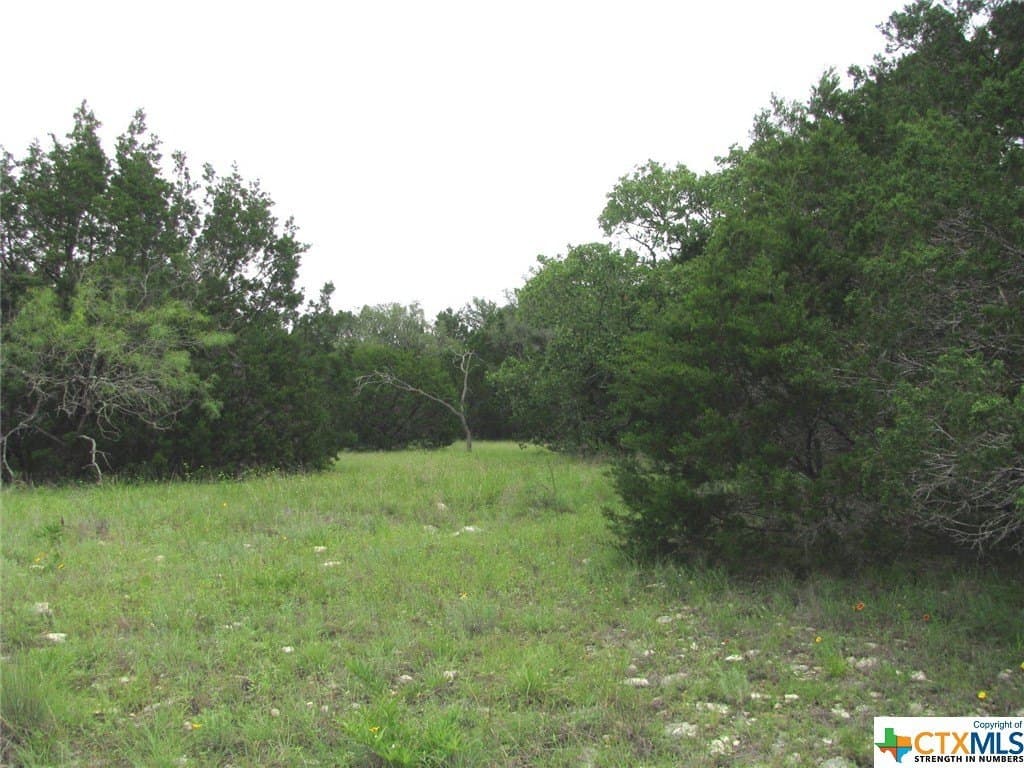 10.01 acres in Hamilton County - photo 18