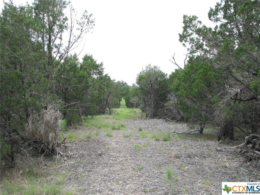 10.01 acres in Hamilton County gallery image 3