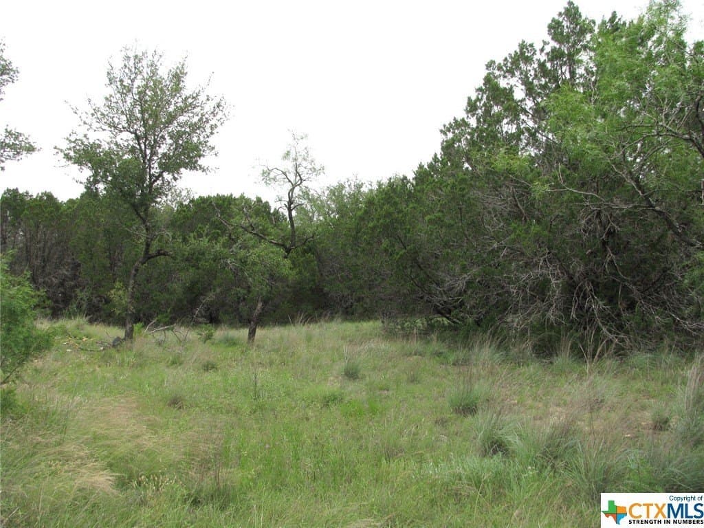 10.01 acres in Hamilton County - photo 10