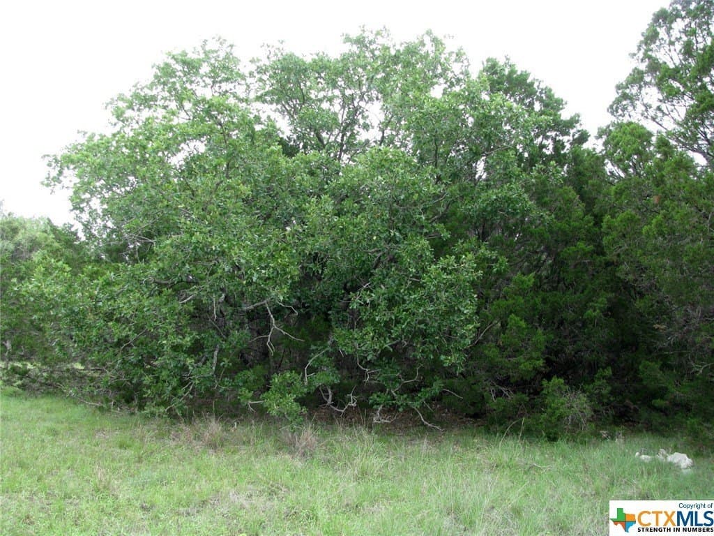 10.01 acres in Hamilton County - photo 21