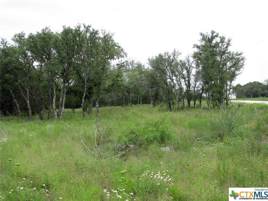 10.01 acres in Hamilton County - photo 6