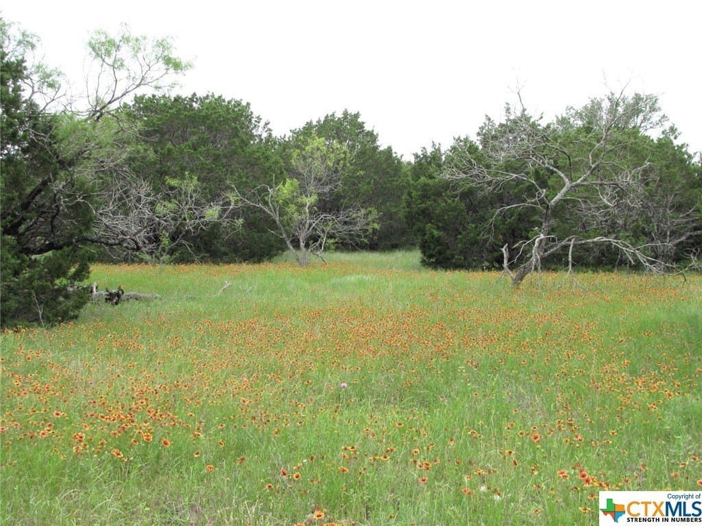 10.01 acres in Hamilton County - photo 7