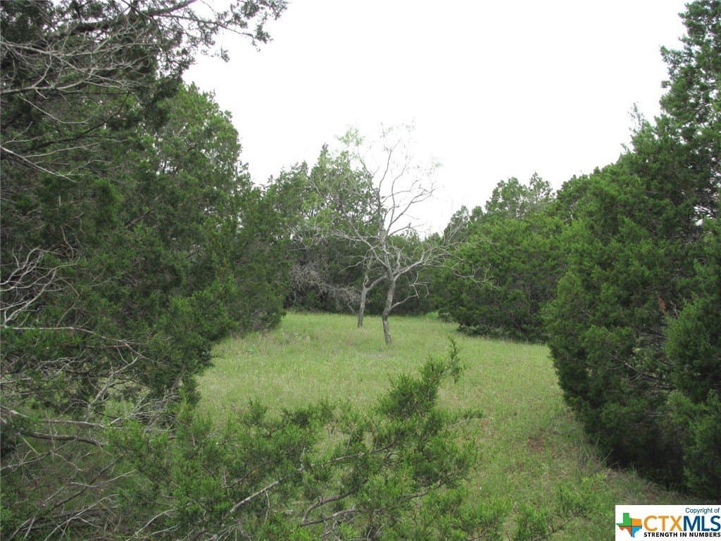 10.01 acres in Hamilton County - photo 9