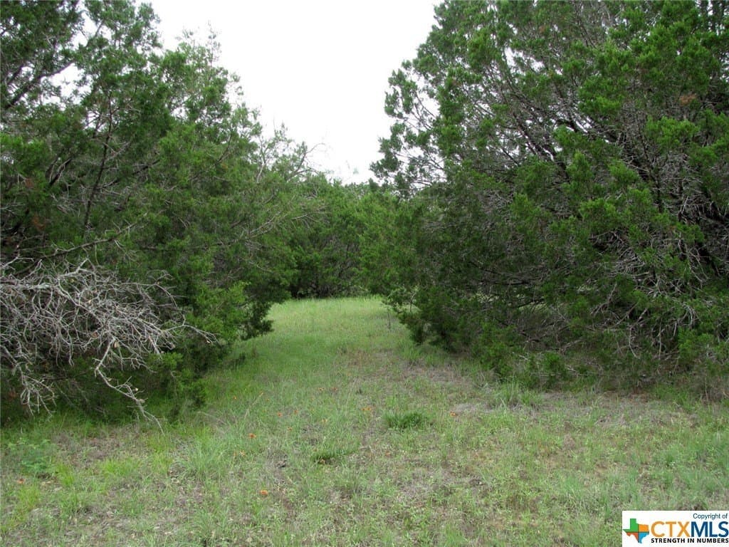 10.01 acres in Hamilton County - photo 20