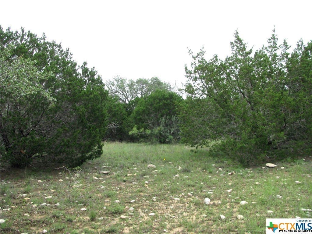 10.01 acres in Hamilton County - photo 13