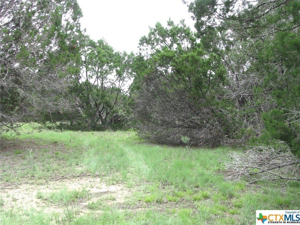 10.01 acres in Hamilton County gallery image 4