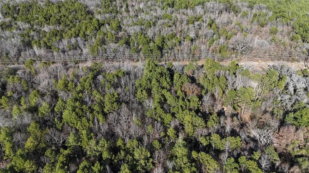 52.67 acres in Wood County gallery image 2