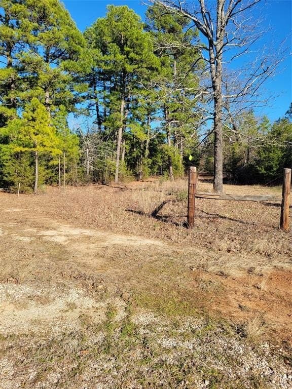 52.67 acres in Wood County gallery image 3