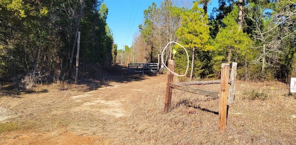 52.67 acres in Wood County featured view