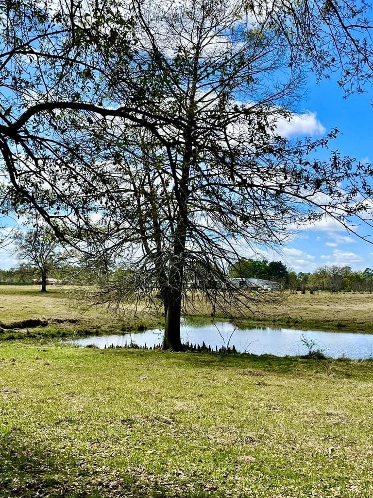 41.32 acres in Texas County
