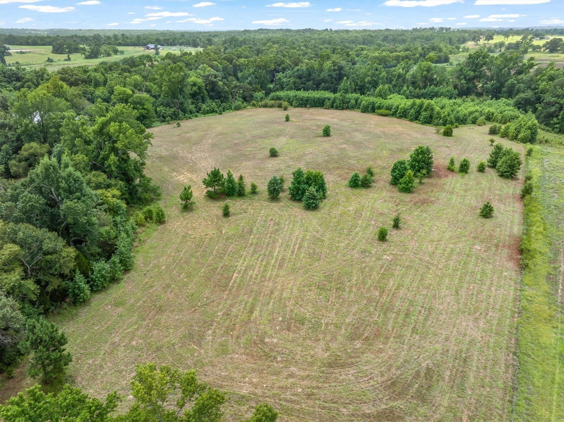 21.98 acres in Van Zandt County - photo 12