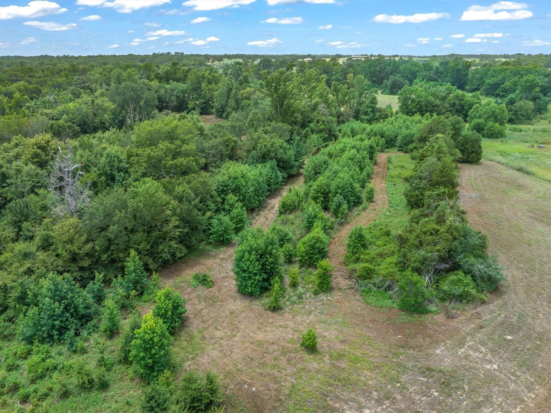 21.98 acres in Van Zandt County - photo 11