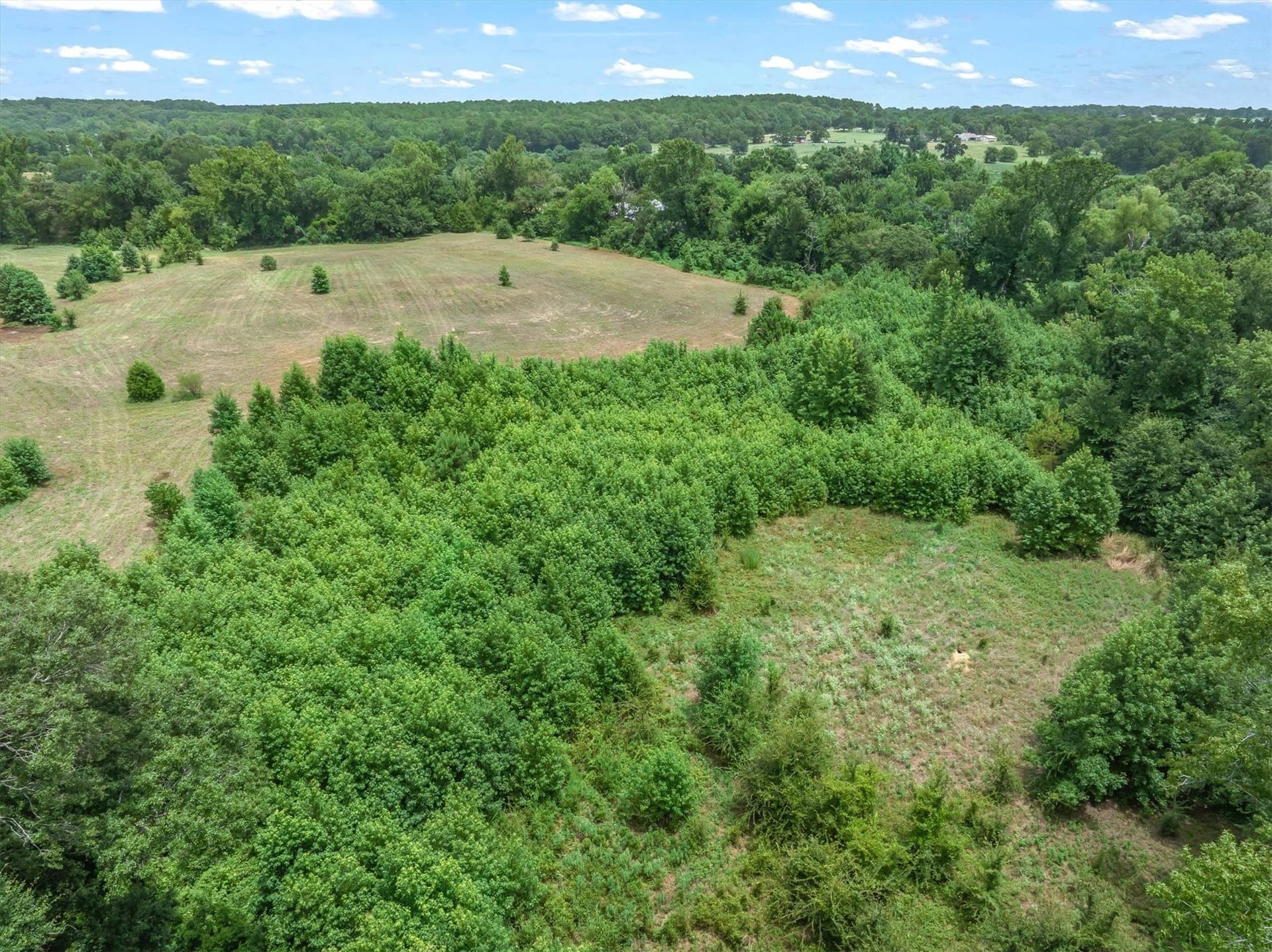 21.98 acres in Van Zandt County - photo 15