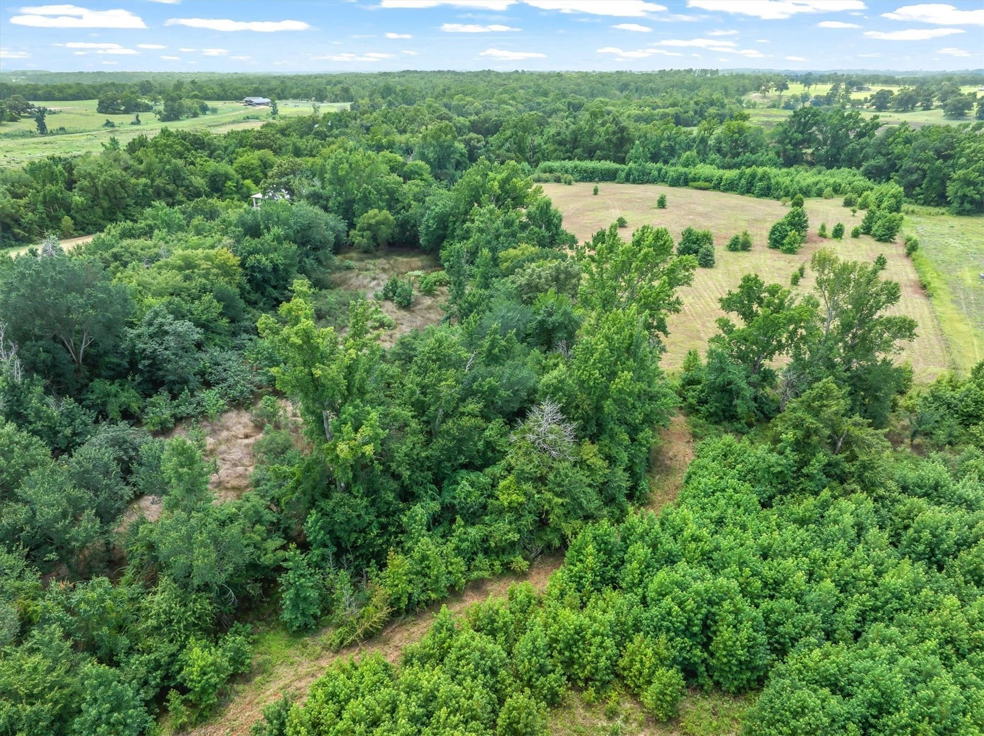 21.98 acres in Van Zandt County - photo 6