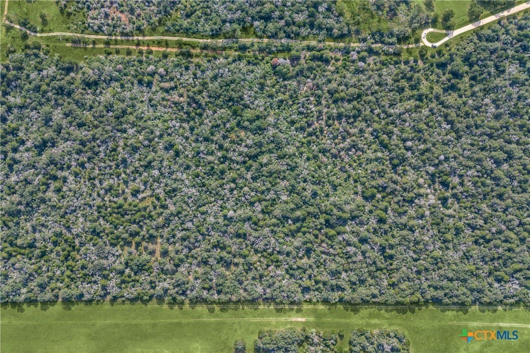 45.31 acres in Caldwell County featured view
