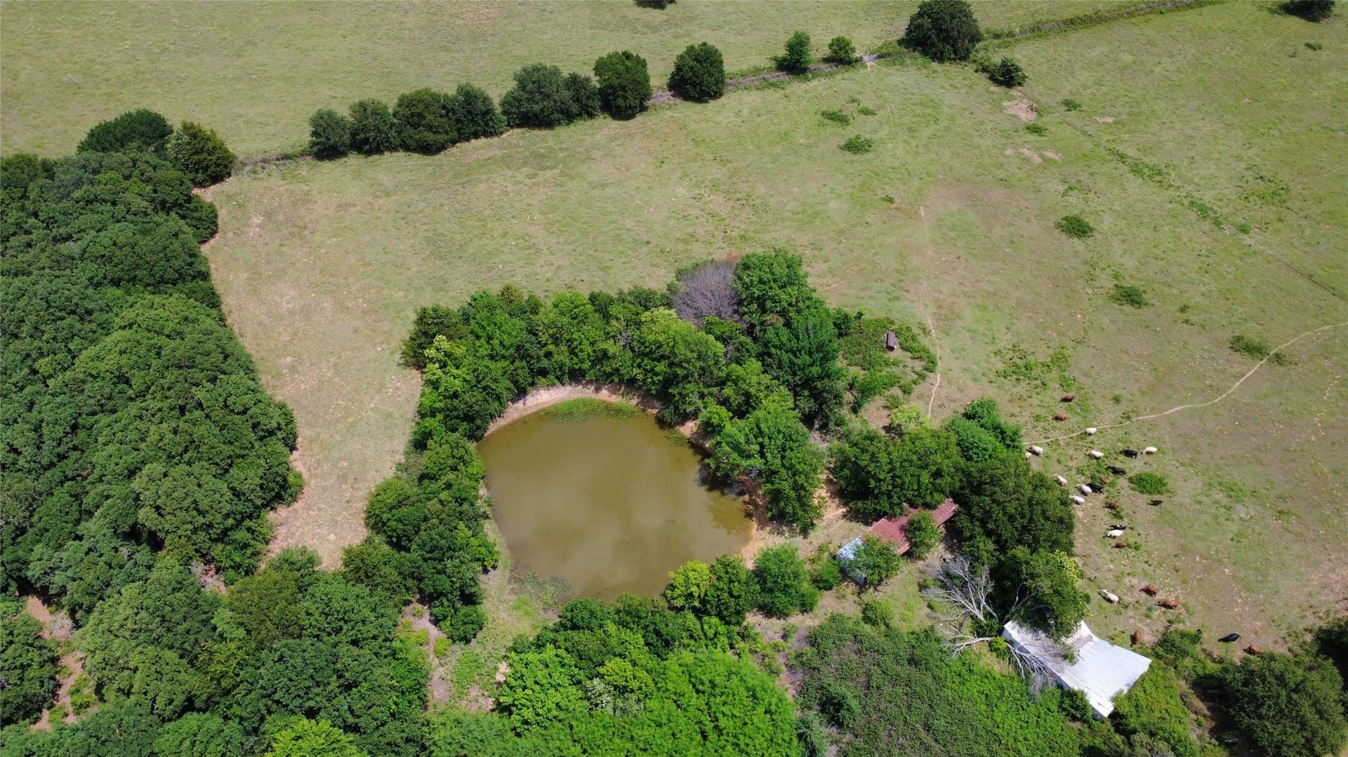 148.25 acres in Montague County - photo 18