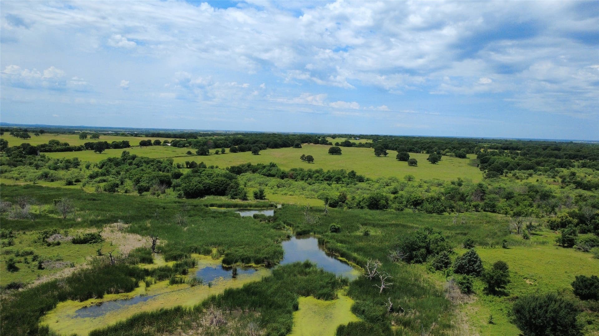 148.25 acres in Montague County - photo 14