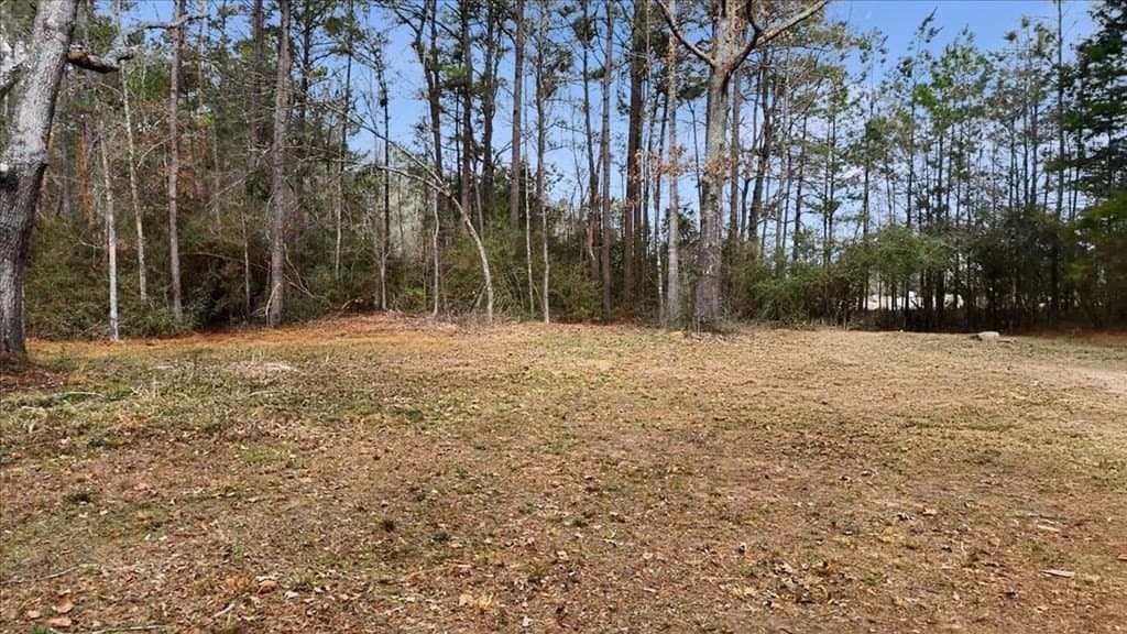 8.9 acres in Texas County - photo 2