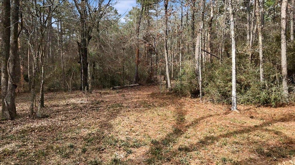 8.9 acres in Texas County - photo 13