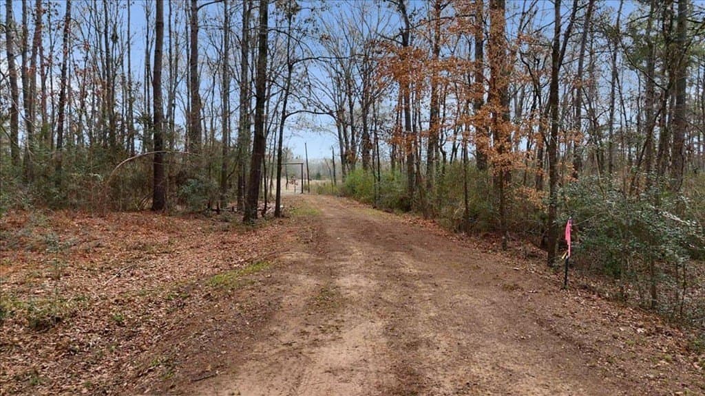 8.9 acres in Texas County - photo 4