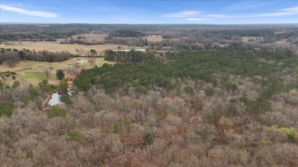 8.9 acres in Texas County - photo 7