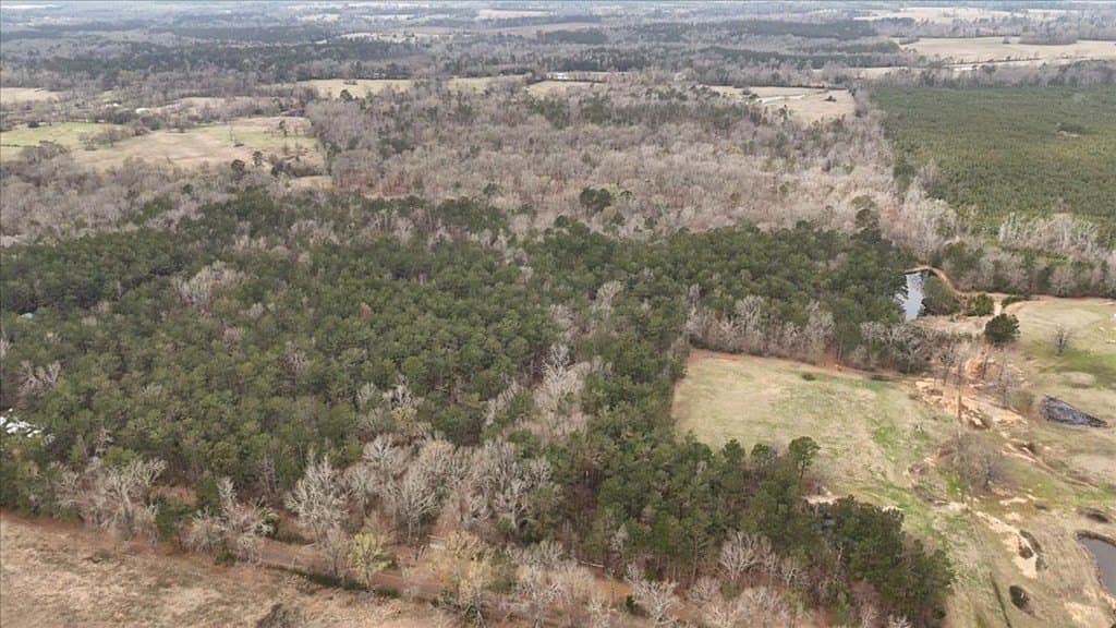 8.9 acres in Texas County - photo 5