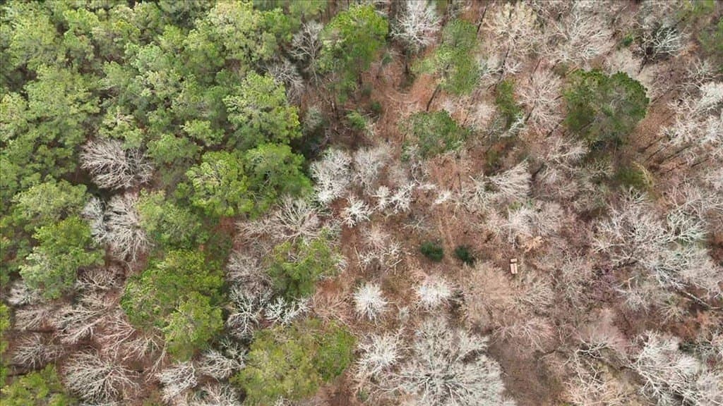 8.9 acres in Texas County - photo 9