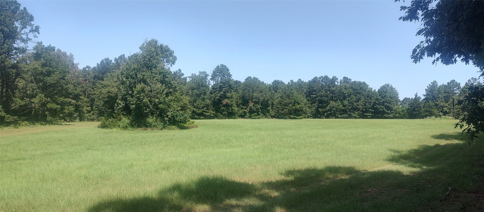 29 acres in Shelby County gallery image 2