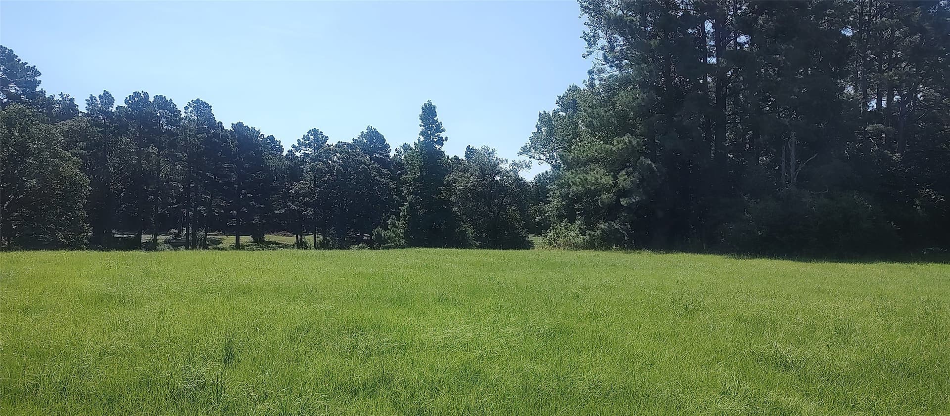 29 acres in Shelby County - photo 18