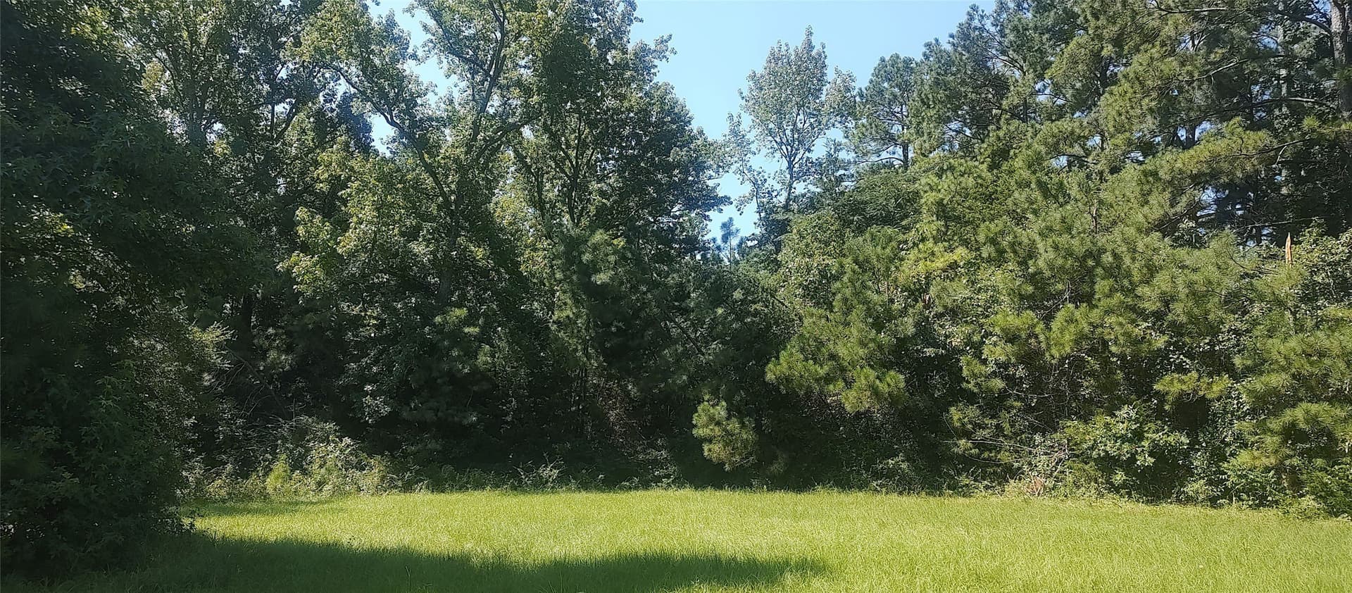 29 acres in Shelby County - photo 6