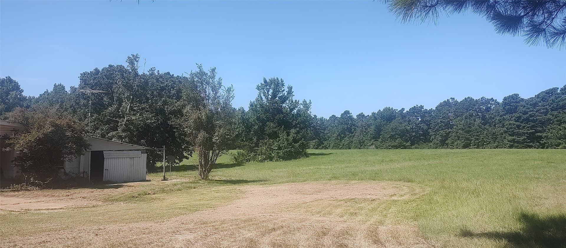 29 acres in Shelby County - photo 16