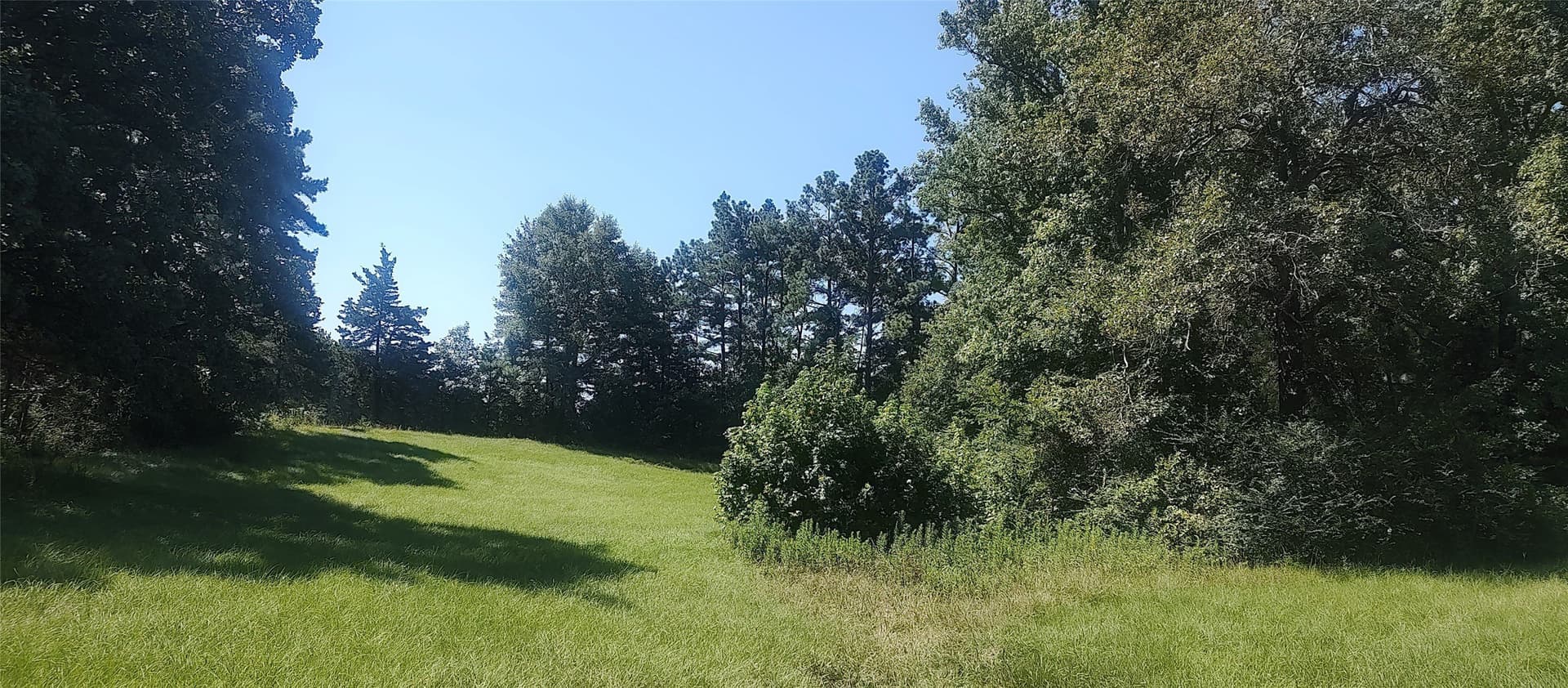 29 acres in Shelby County - photo 12