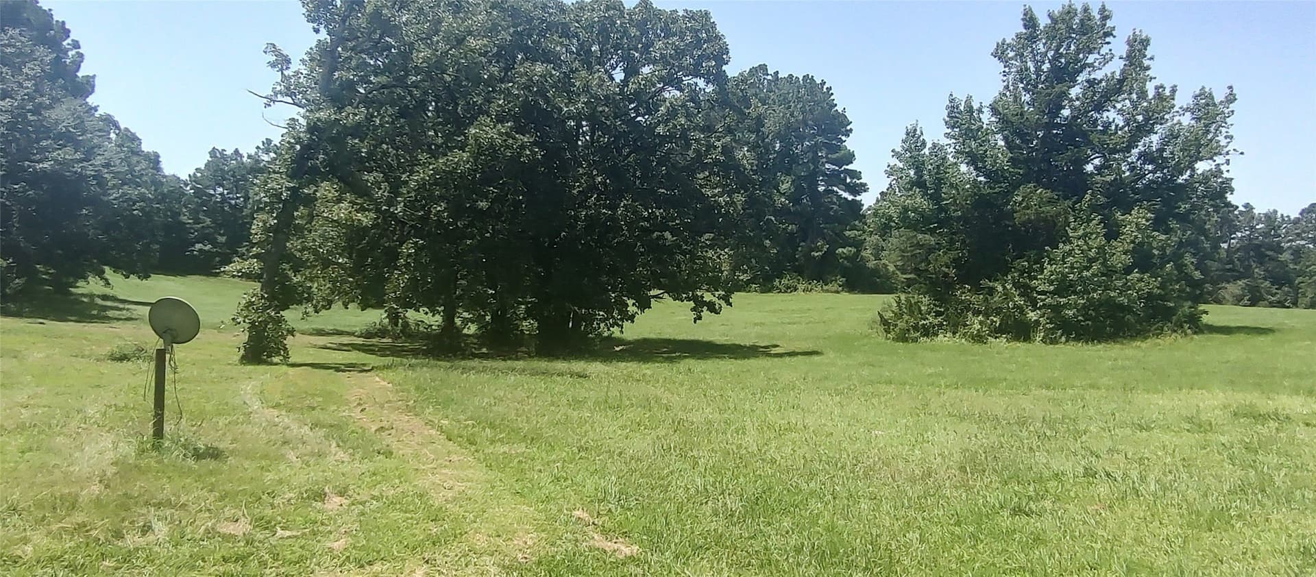 29 acres in Shelby County - photo 8