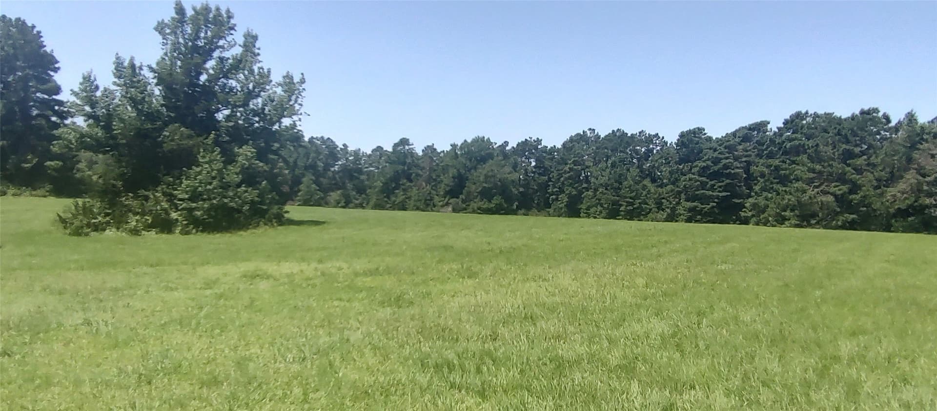 29 acres in Shelby County - photo 7