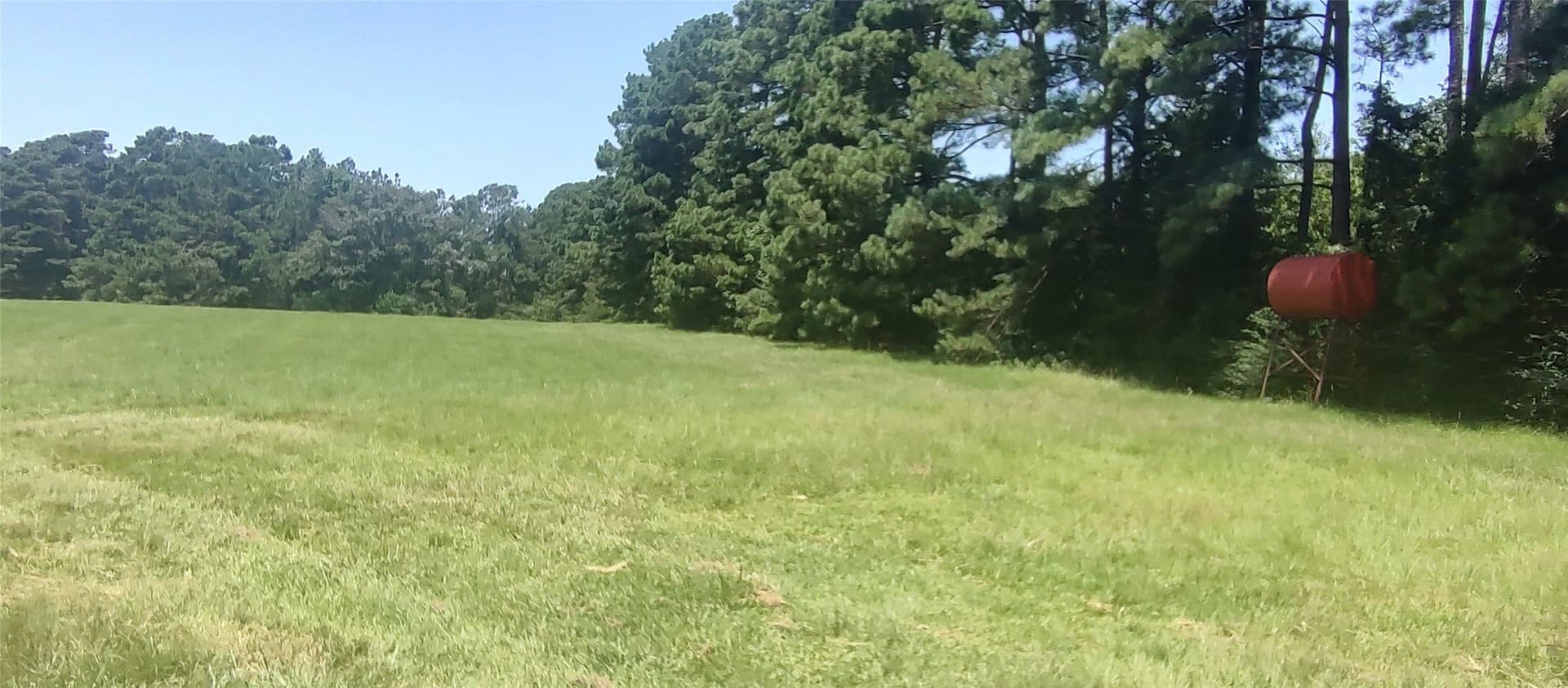 29 acres in Shelby County gallery image 3