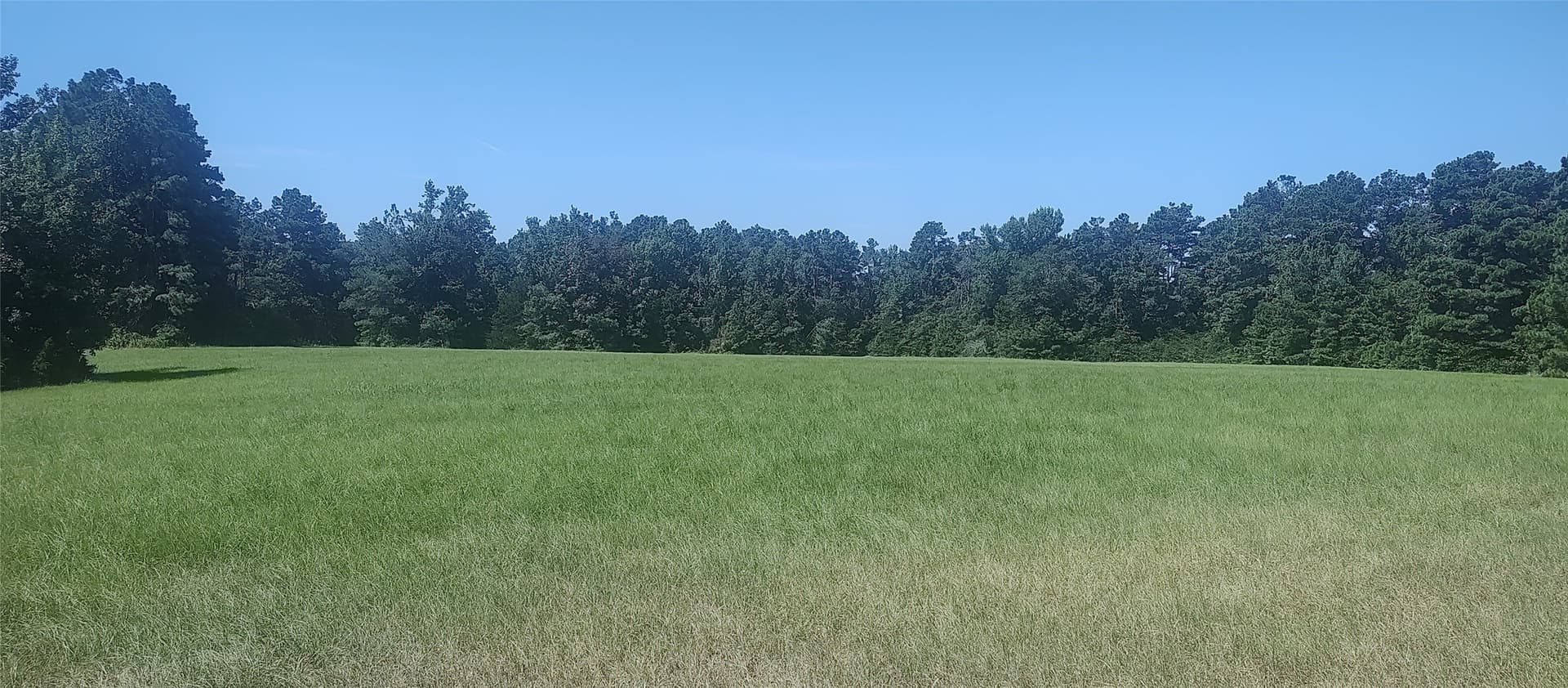 29 acres in Shelby County featured view