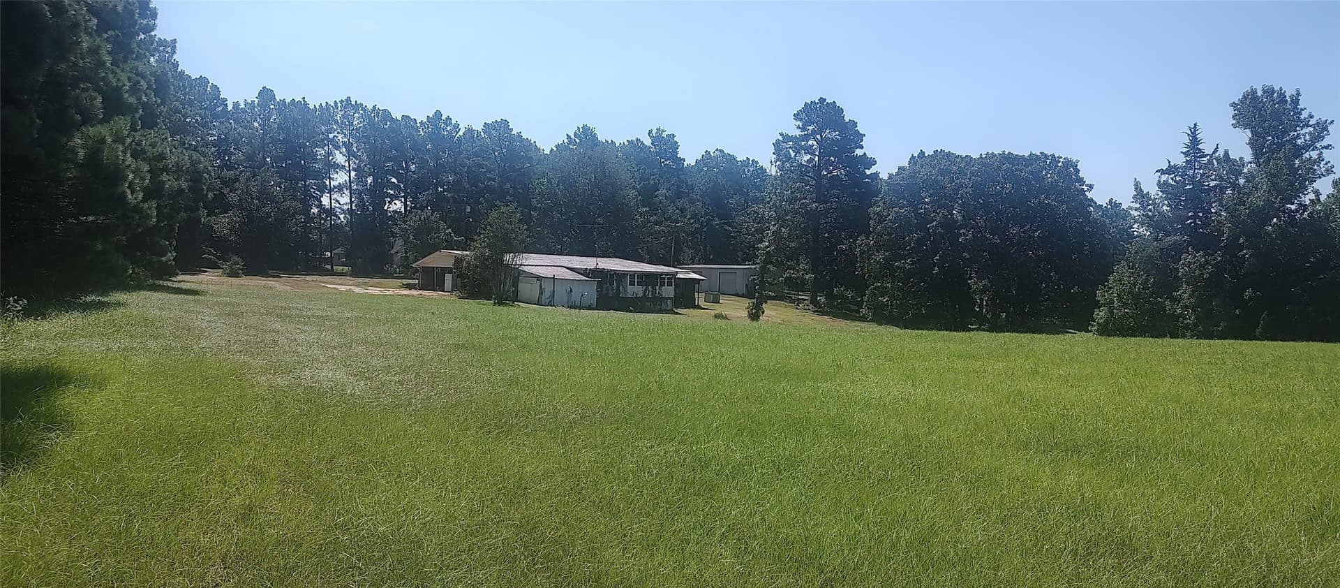 29 acres in Shelby County - photo 17