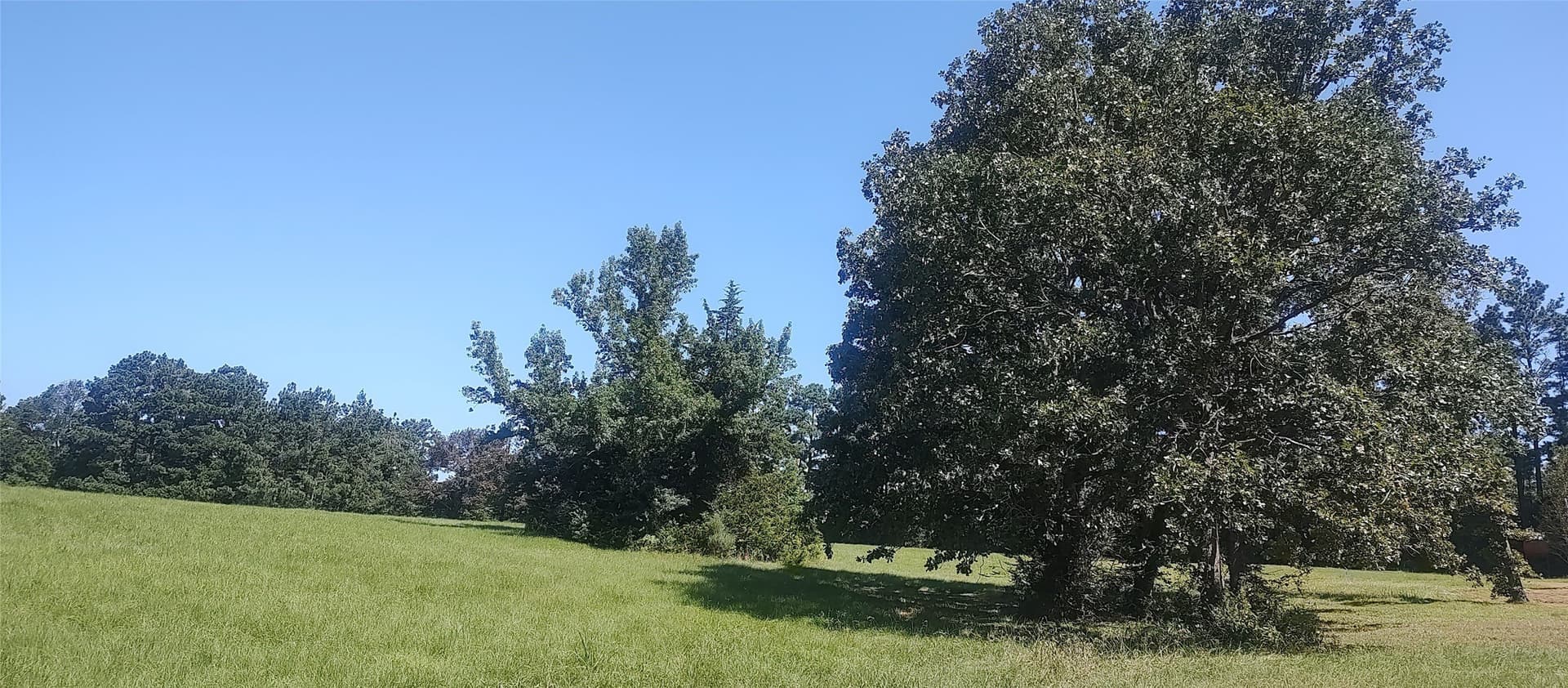 29 acres in Shelby County - photo 20