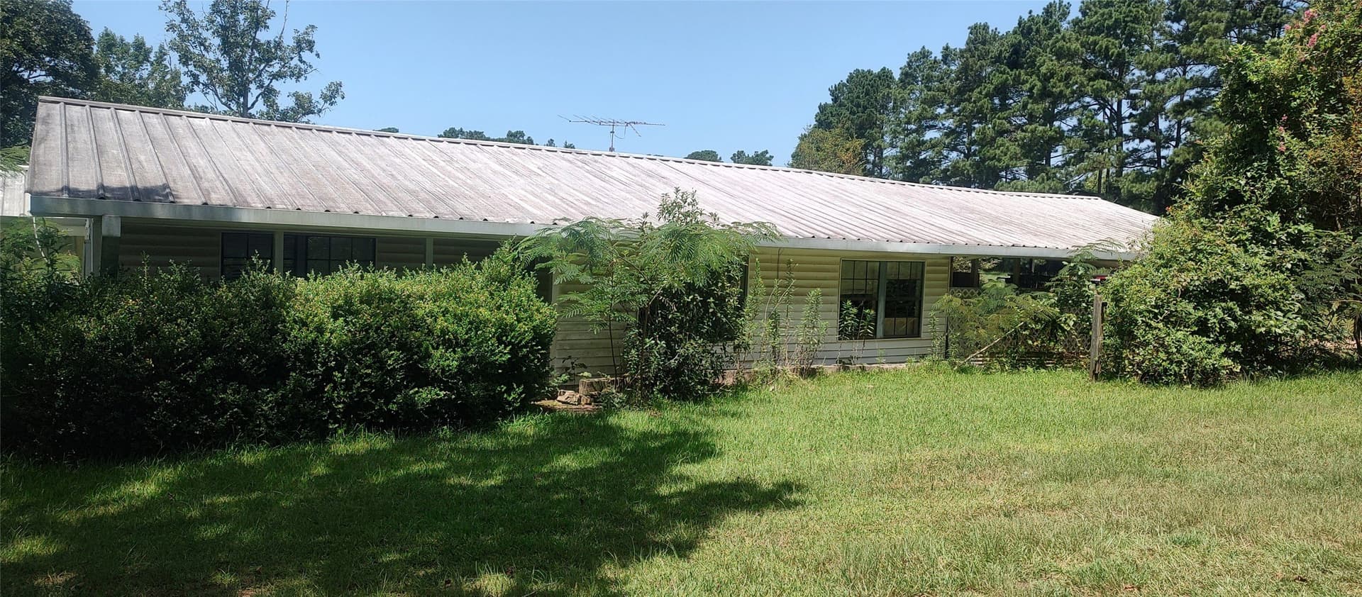 29 acres in Shelby County gallery image 4