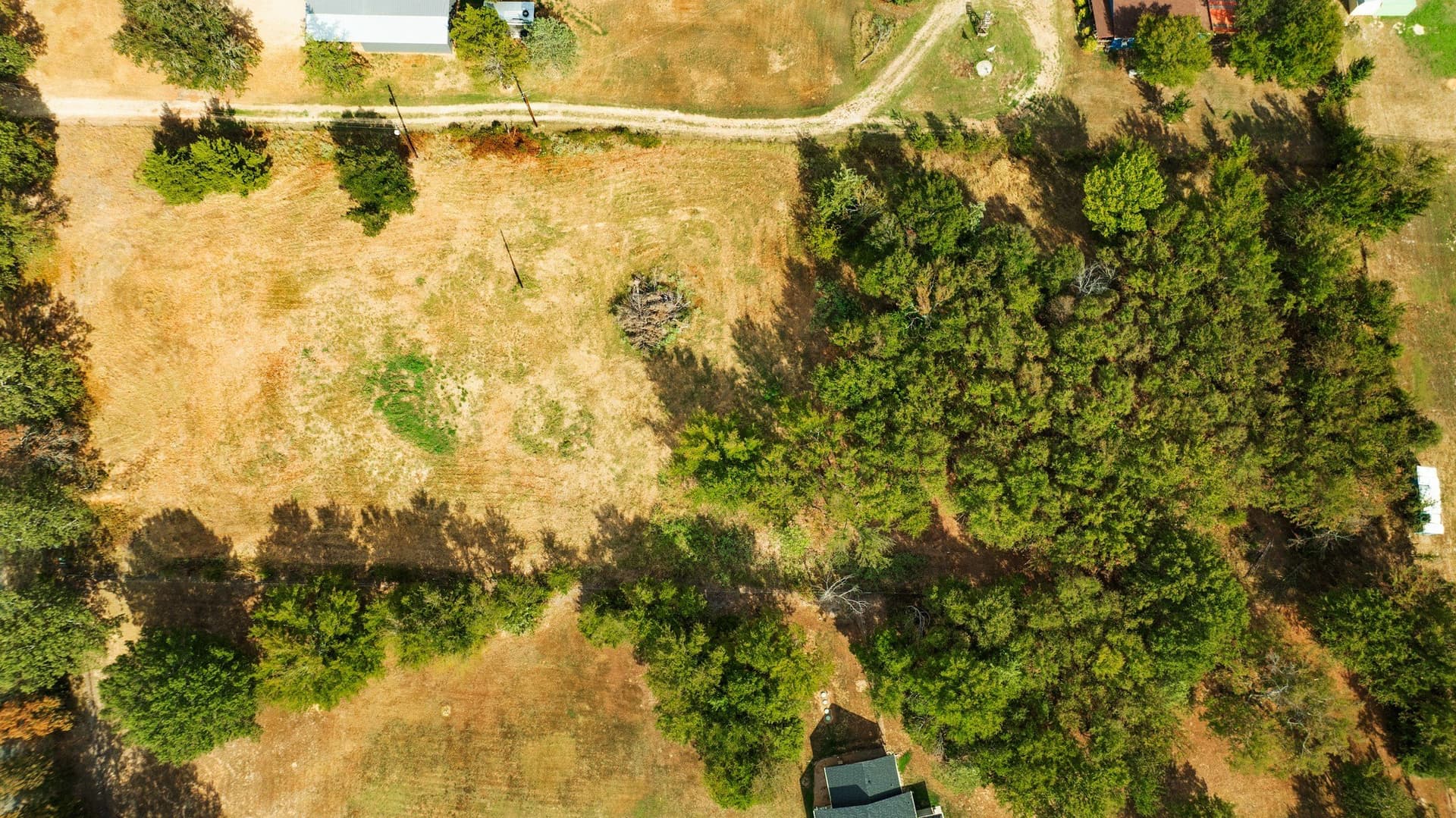 2.65 acres in Lamar County - photo 4
