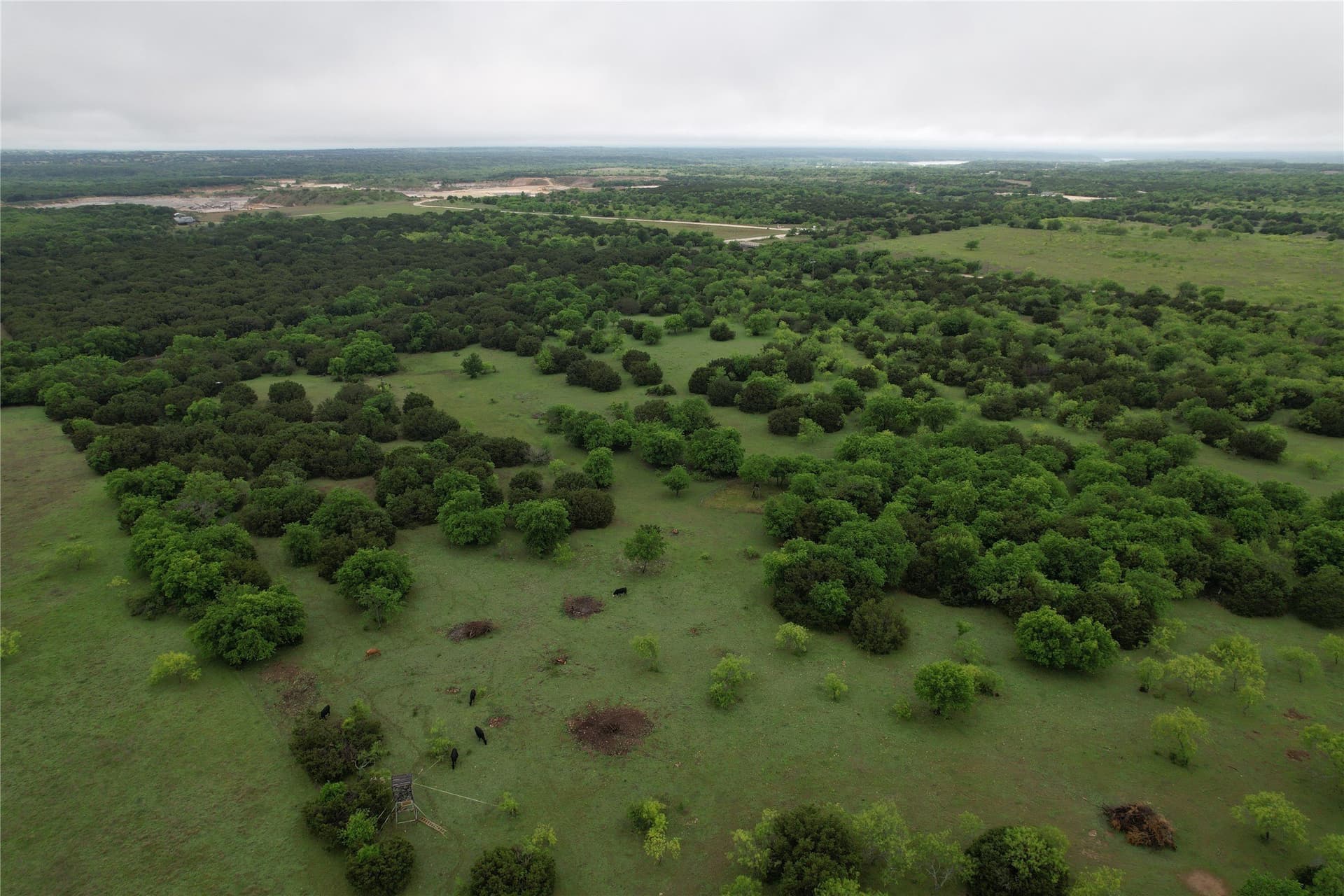 33.74 acres in Hill County gallery image 3