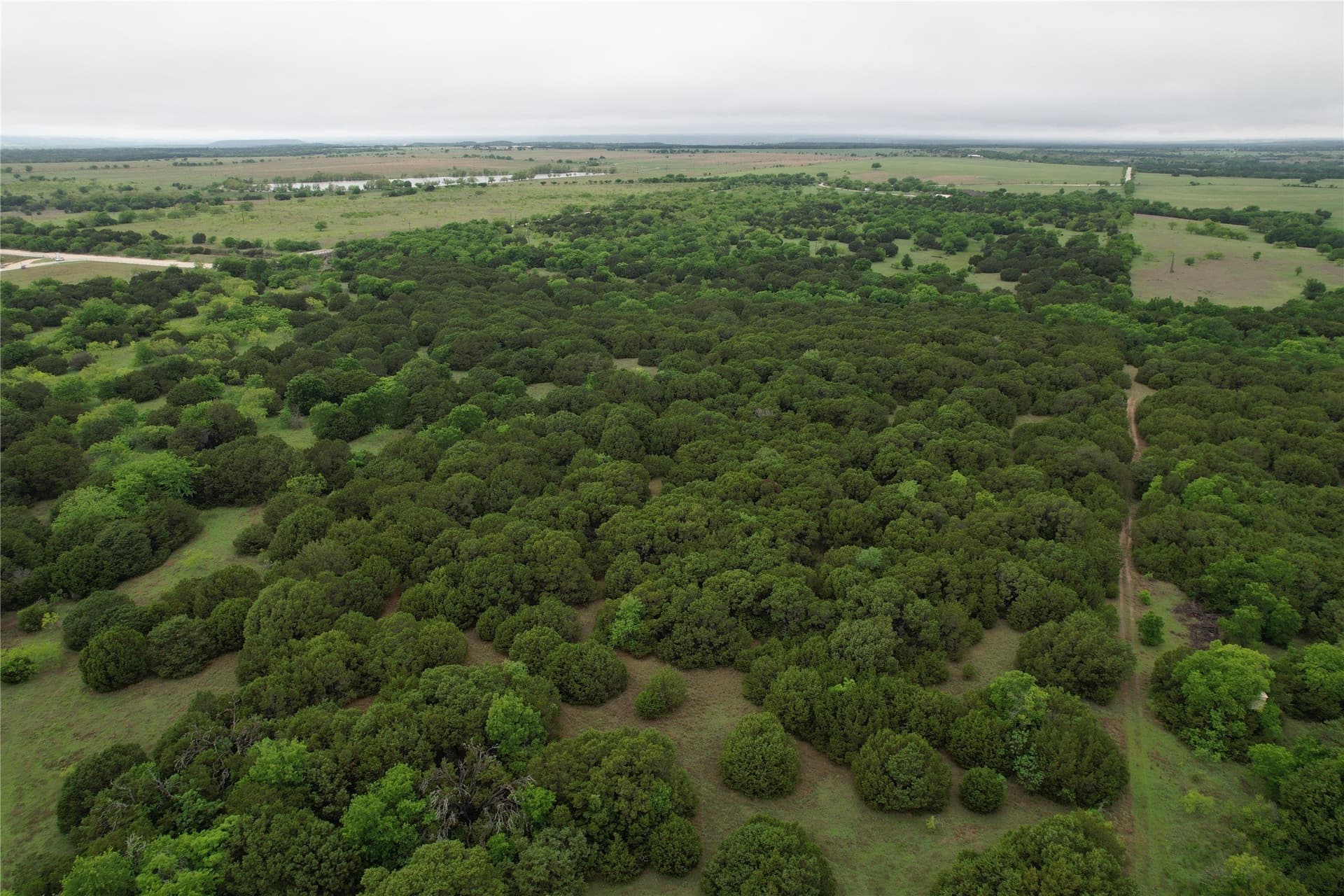 33.74 acres in Hill County - photo 6