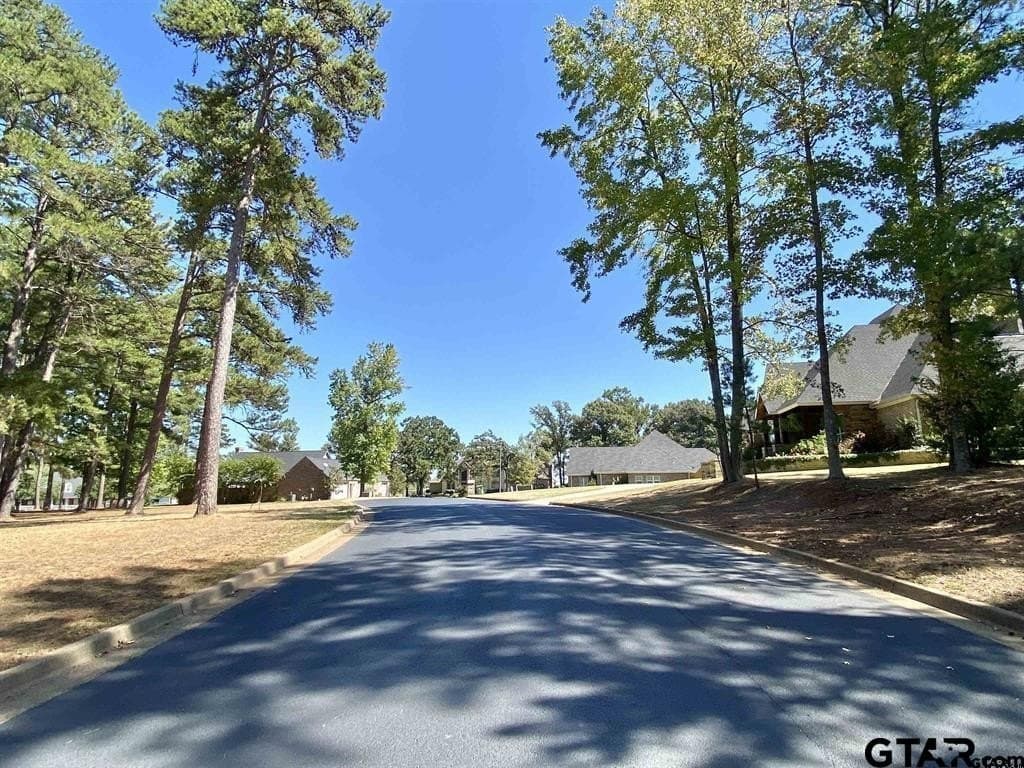 0.49 acres in Anderson County - photo 6