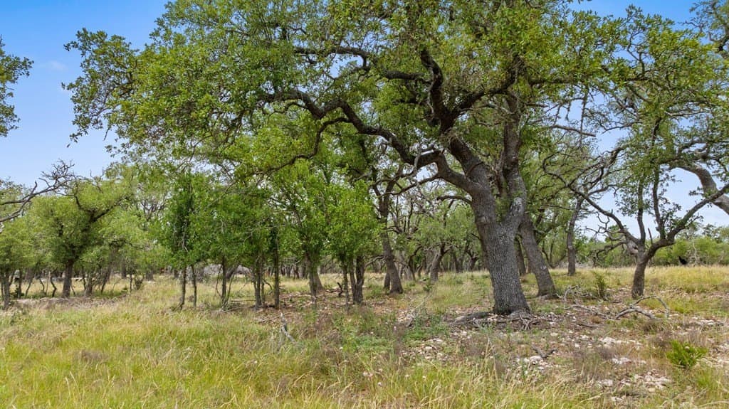 397.23 acres in Gillespie County gallery image 4