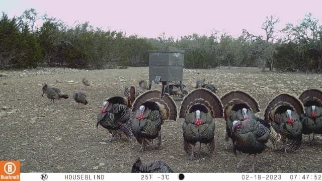 397.23 acres in Gillespie County featured view