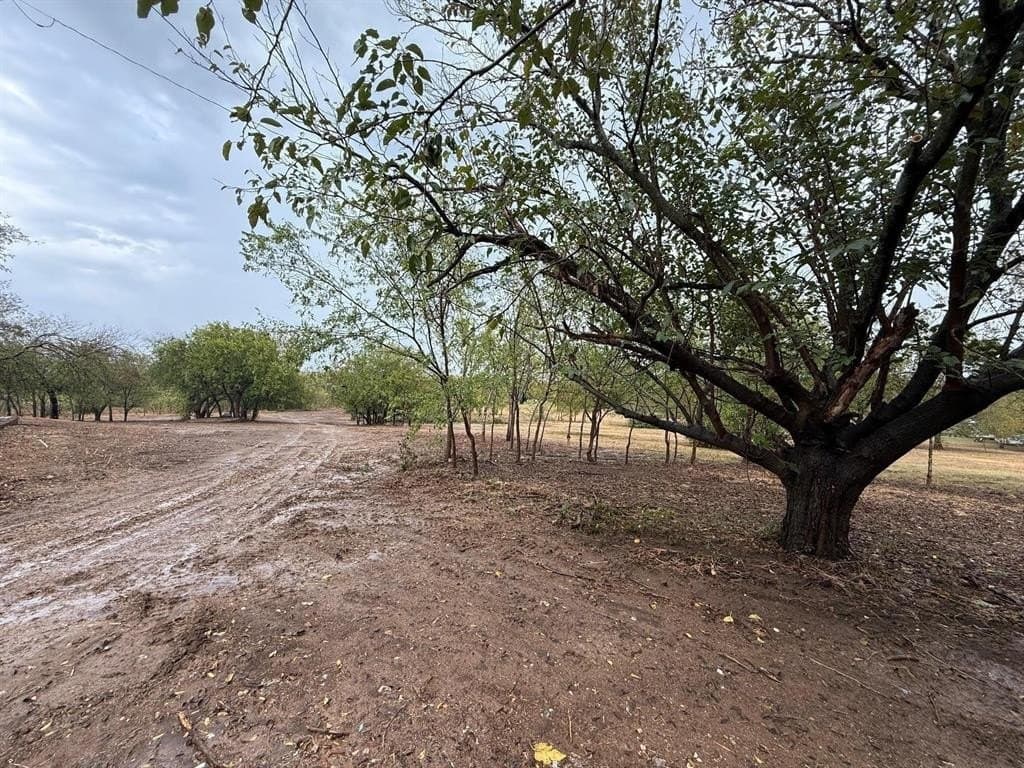 4.6 acres in Denton County gallery image 4