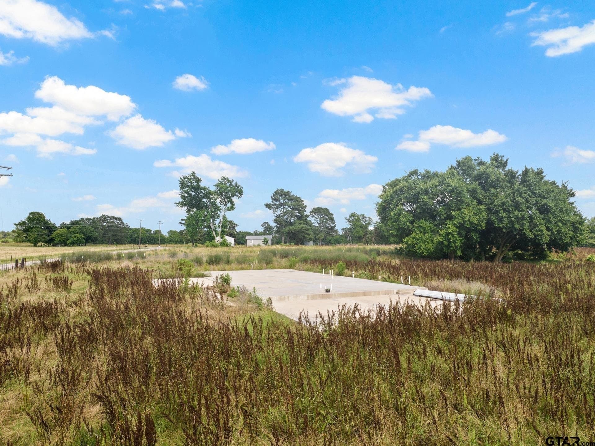 11 acres in Titus County gallery image 3