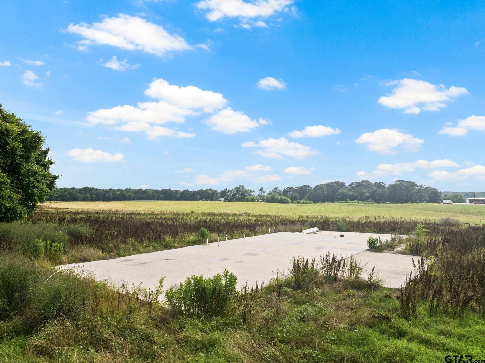 11 acres in Titus County gallery image 4